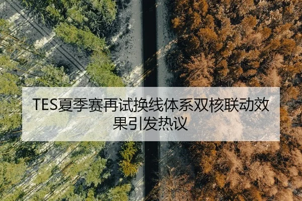TES夏季赛再试换线体系双核联动效果引发热议